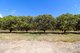Photo - 232 Bartlett Road, Horseshoe Lagoon QLD 4809 - Image 20