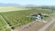 Photo - 232 Bartlett Road, Horseshoe Lagoon QLD 4809 - Image 22