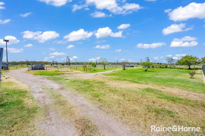 Photo - 232 Cabbage Tree Road, Williamtown NSW 2318 - Image 21