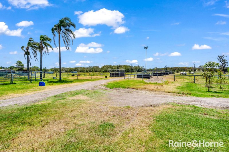 Photo - 232 Cabbage Tree Road, Williamtown NSW 2318 - Image 23