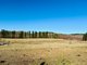 Photo - 233 Logans Road, Tumbarumba NSW 2653 - Image 6