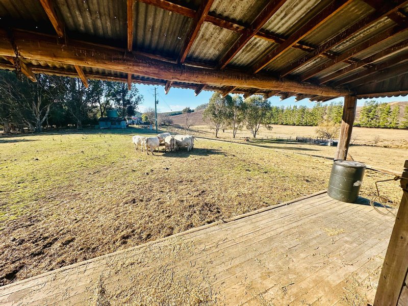 Photo - 233 Logans Road, Tumbarumba NSW 2653 - Image 16