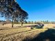 Photo - 233 Logans Road, Tumbarumba NSW 2653 - Image 17