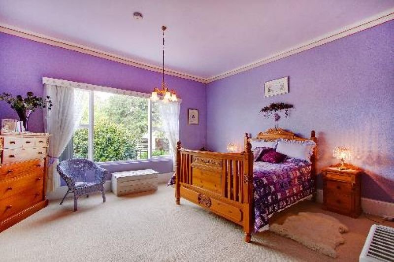 Photo - 233 Uxbridge Rd , Bushy Park TAS 7140 - Image 10