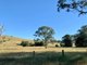 Photo - 234 Marshdale Road, Marshdale Via , Dungog NSW 2420 - Image 5