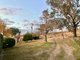 Photo - 234 Taradale Road, Courabyra NSW 2653 - Image 32