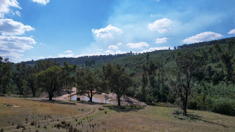 Photo - 234 Taradale Road, Tumbarumba NSW 2653 - Image 21