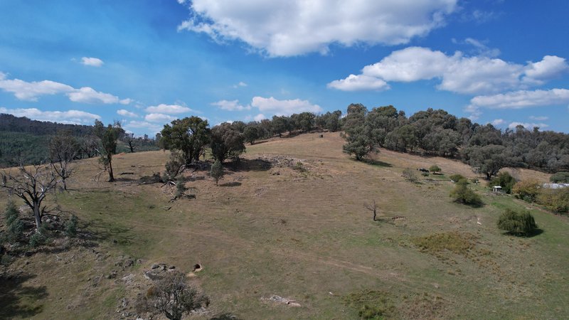 Photo - 234 Taradale Road, Tumbarumba NSW 2653 - Image 23