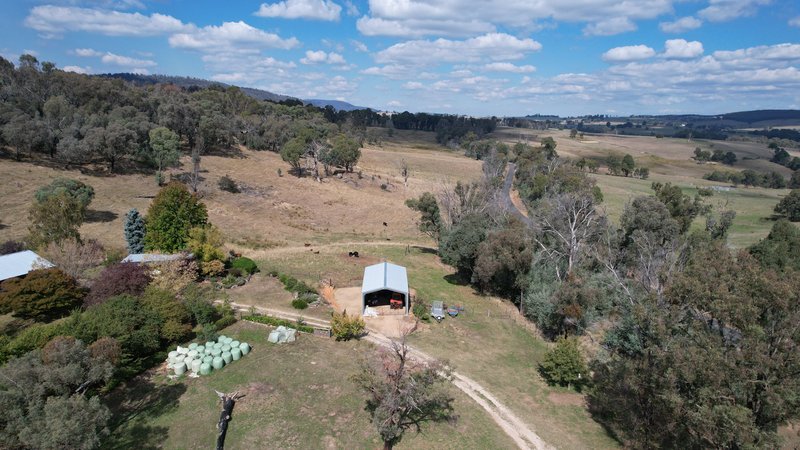 Photo - 234 Taradale Road, Tumbarumba NSW 2653 - Image 24