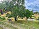 Photo - 234 Taradale Road, Tumbarumba NSW 2653 - Image 27