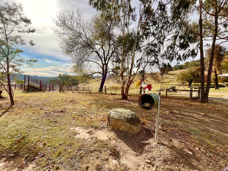 Photo - 234 Taradale Road, Tumbarumba NSW 2653 - Image 30