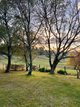 Photo - 234 Taradale Road, Tumbarumba NSW 2653 - Image 31