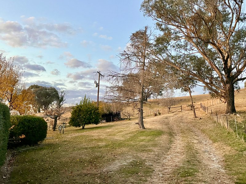 Photo - 234 Taradale Road, Tumbarumba NSW 2653 - Image 33