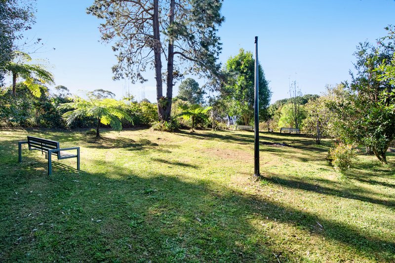 Photo - 2345 Springbrook Road, Springbrook QLD 4213 - Image 8