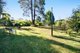 Photo - 2345 Springbrook Road, Springbrook QLD 4213 - Image 8