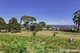 Photo - 235 Carlton River Road, Carlton TAS 7173 - Image 5