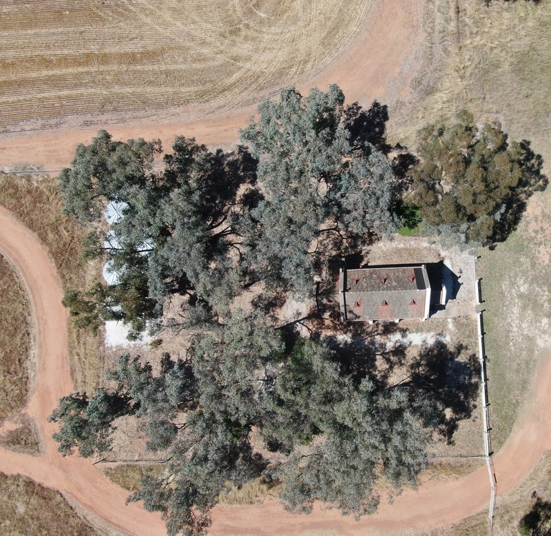 Photo - 235 Coolamon Road, (Sebastopol), , Temora NSW 2666 - Image 6