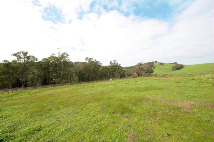 Photo - 235 Diggers Green, Nannup WA 6275 - Image 5