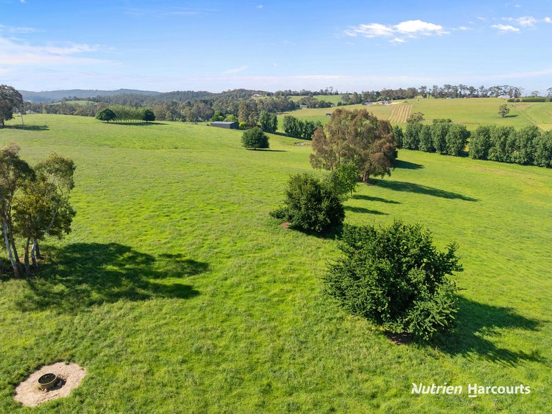 Photo - 235 Neerim East Road, Neerim South VIC 3831 - Image 9