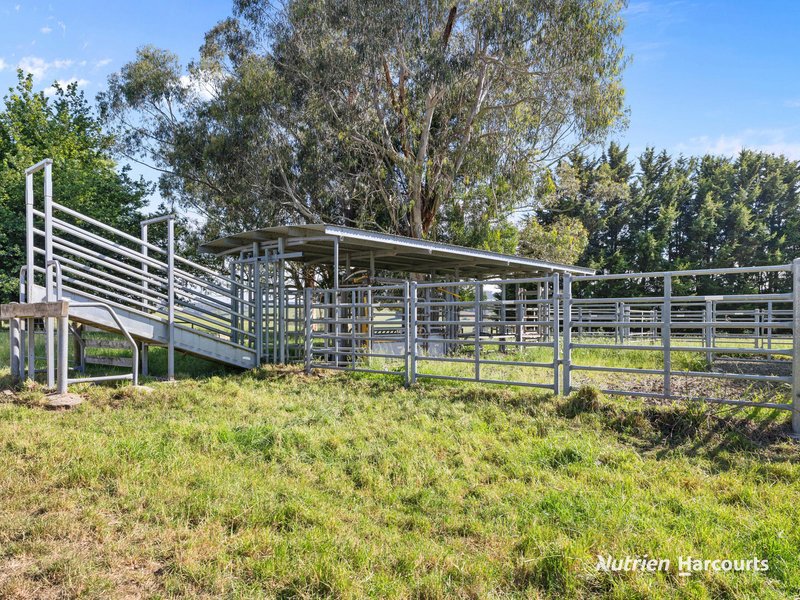 Photo - 235 Neerim East Road, Neerim South VIC 3831 - Image 15