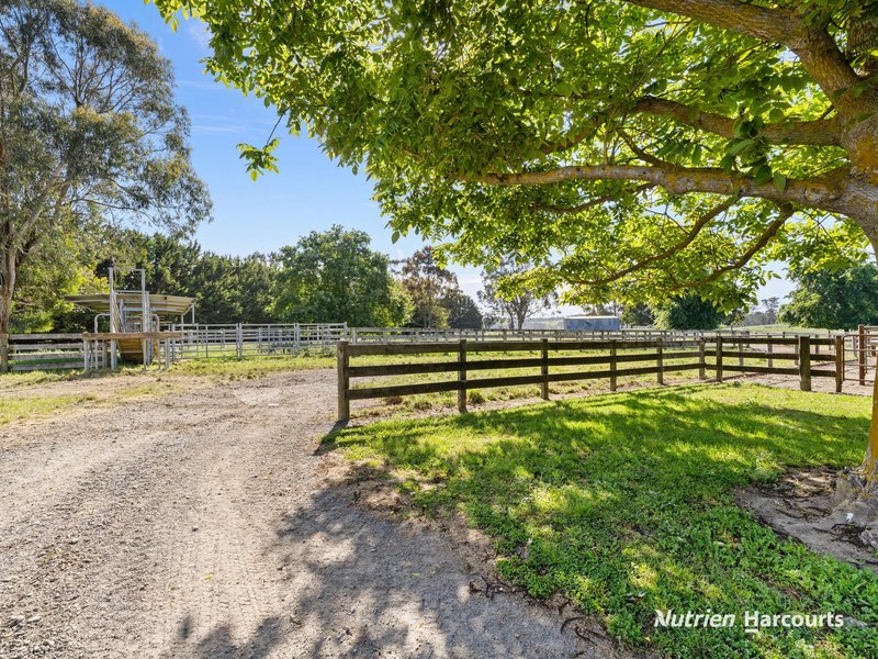 Photo - 235 Neerim East Road, Neerim South VIC 3831 - Image 26