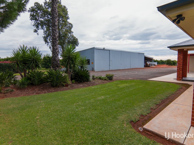 Photo - 235 Scott Road, Griffith NSW 2680 - Image 18