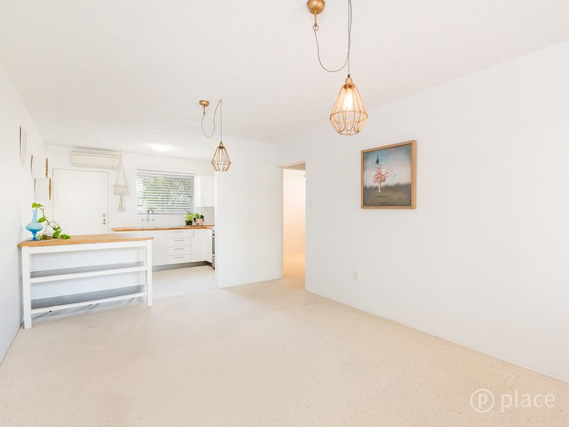 Photo - 2/35 Smallman Street, Bulimba QLD 4171 - Image 3