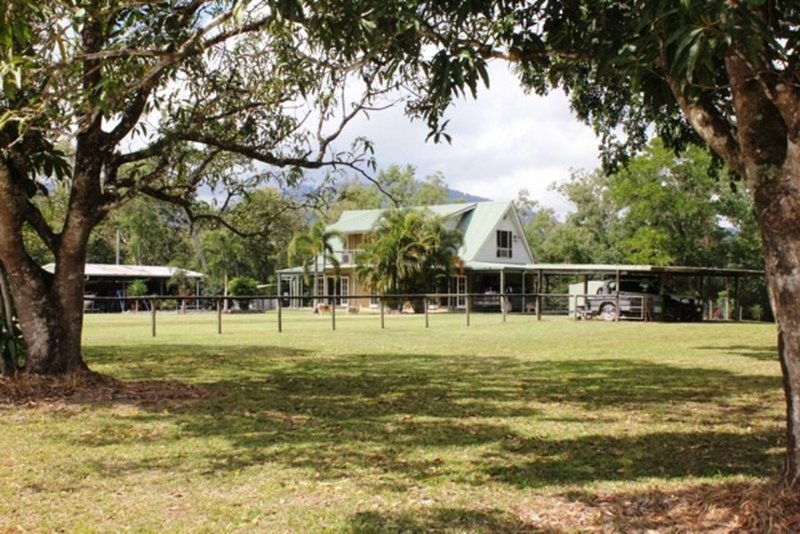 Photo - 2350 Hawkins Creek Rd , Dalrymple Creek QLD 4850 - Image 23