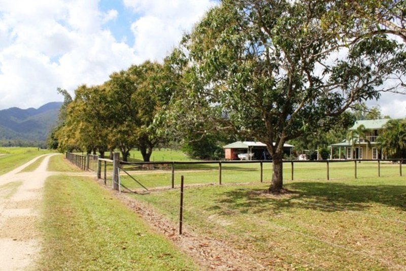 Photo - 2350 Hawkins Creek Rd , Dalrymple Creek QLD 4850 - Image 24