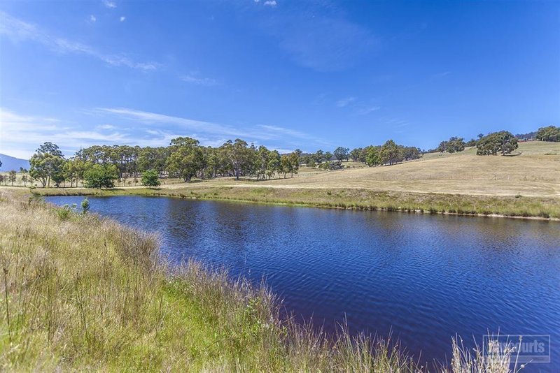 Photo - 2353 Huon Highway, Huonville TAS 7109 - Image 9