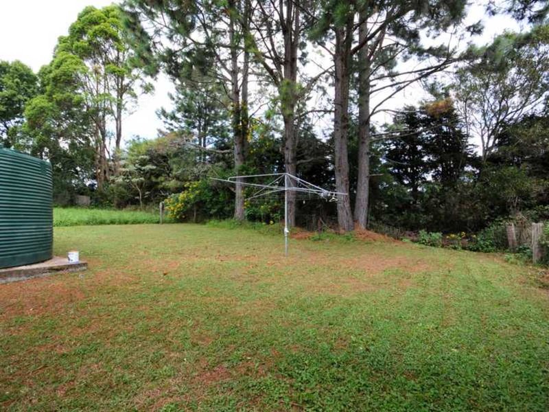 Photo - 2354 Springbrook Rd , Springbrook QLD 4213 - Image 9