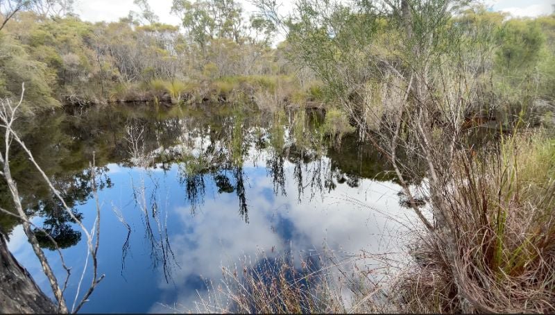 Photo - 236 Guernsey Gully , Northcliffe WA 6262 - Image 4