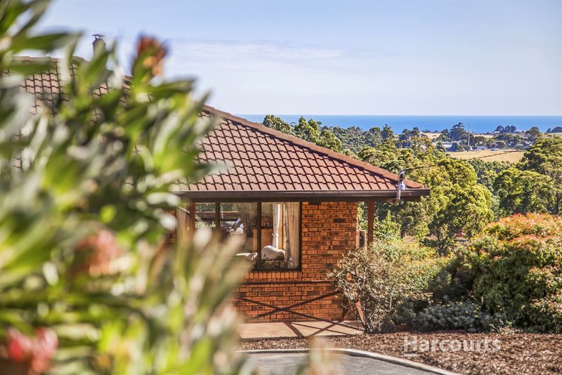 Photo - 236 Ironcliffe Road, Penguin TAS 7316 - Image 3