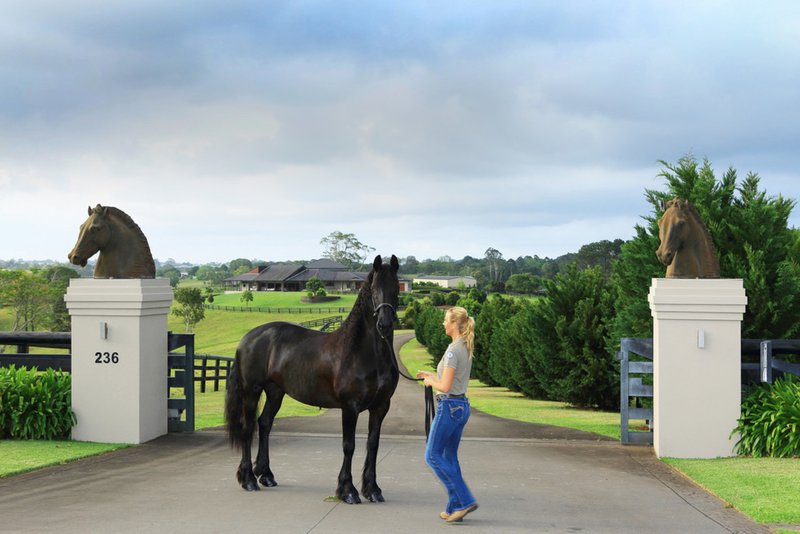 Photo - 236 Mountain View Road, Maleny QLD 4552 - Image 8