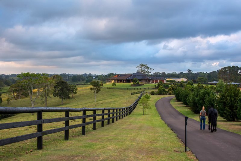 Photo - 236 Mountain View Road, Maleny QLD 4552 - Image 9