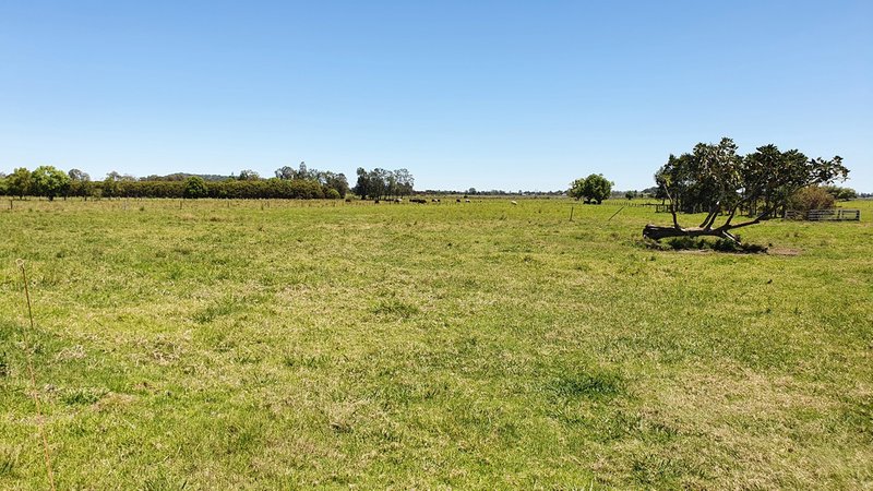 Photo - 236 Oakland Road, East Coraki NSW 2471 - Image 12