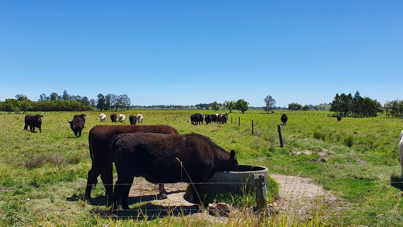 Photo - 236 Oakland Road, East Coraki NSW 2471 - Image 13