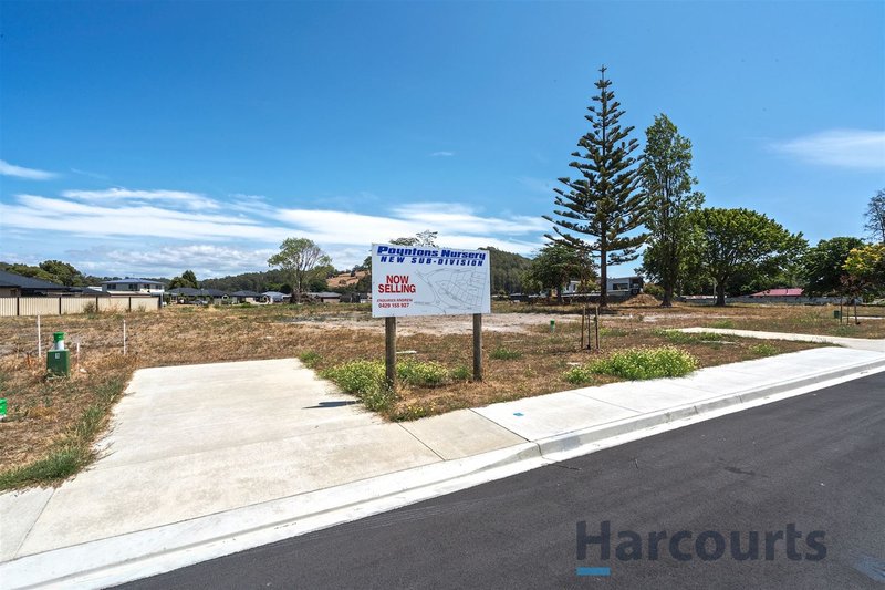 Photo - 236 Westella Drive, Turners Beach TAS 7315 - Image 5