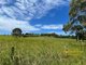 Photo - 2360 Wallanbah Road, Firefly NSW 2429 - Image 29