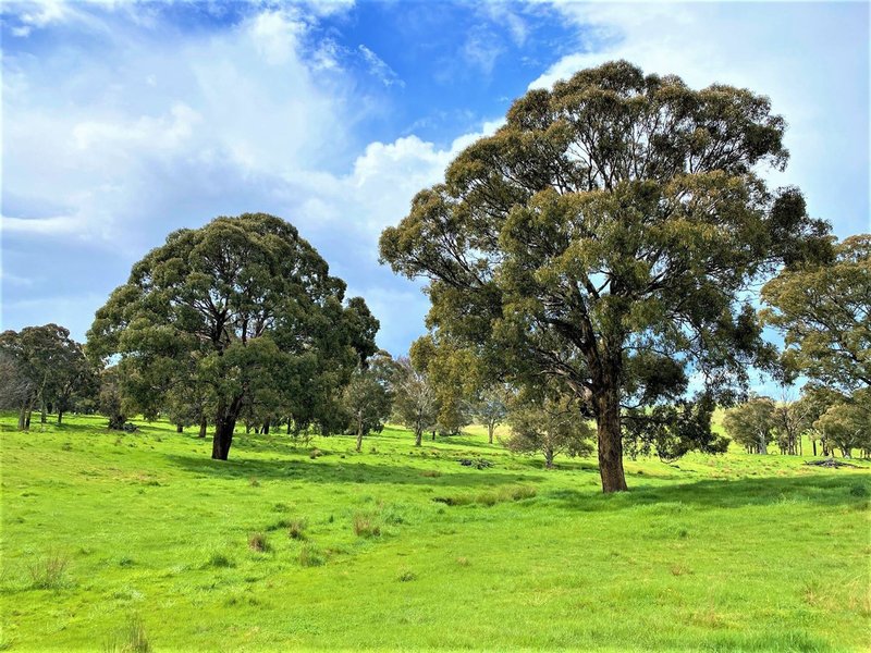 2362 Gurrundah Road, Goulburn NSW 2580