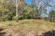 Photo - 2363 Numinbah Road, Numinbah NSW 2484 - Image 13