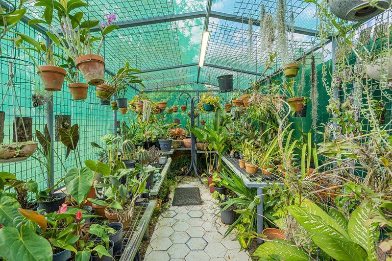 Photo - 237 Appleby Road, Stafford Heights QLD 4053 - Image 13