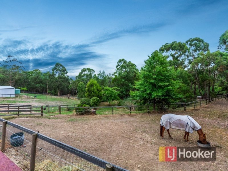 Photo - 237 Bourkes Creek Road, Pakenham Upper VIC 3810 - Image 7