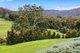 Photo - 237 Bunkers Hill Road, Barrengarry NSW 2577 - Image 25