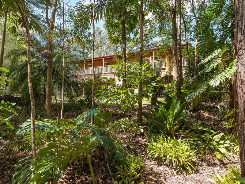 Photo - 237 Forest Acres Drive, Lake Macdonald QLD 4563 - Image 4