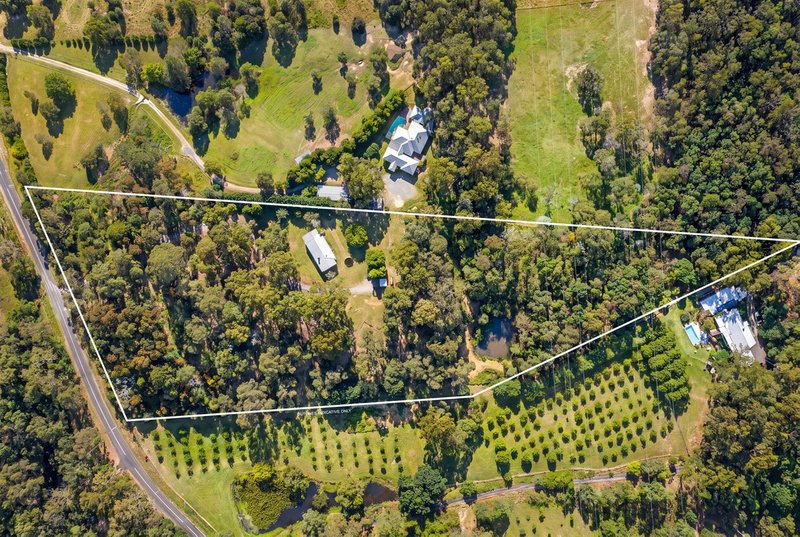 Photo - 237 Guanaba Creek Road, Guanaba QLD 4210 - Image 4