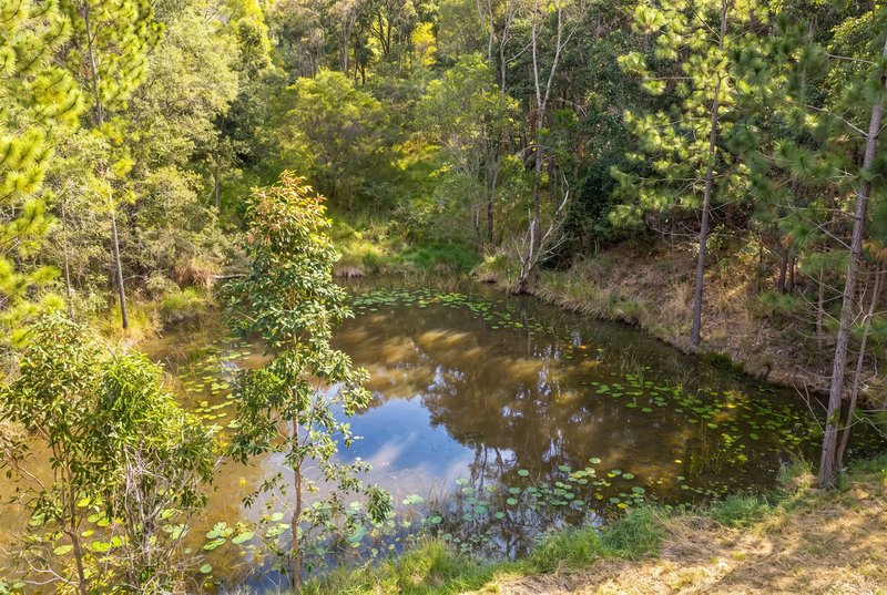Photo - 237 Guanaba Creek Road, Guanaba QLD 4210 - Image 8