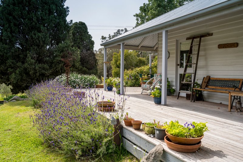 Photo - 237 Long Gully Road, Violet Town VIC 3669 - Image 5