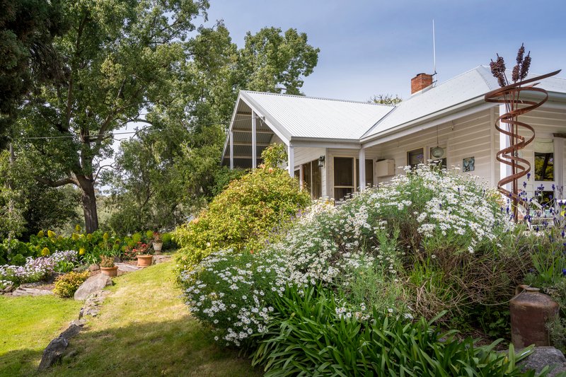 Photo - 237 Long Gully Road, Violet Town VIC 3669 - Image 6