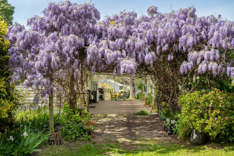 Photo - 237 Long Gully Road, Violet Town VIC 3669 - Image 10